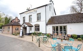 The Curious Pig In The Parlour